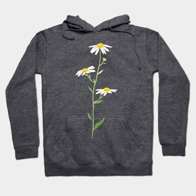 white daisy watercolor Hoodie by colorandcolor